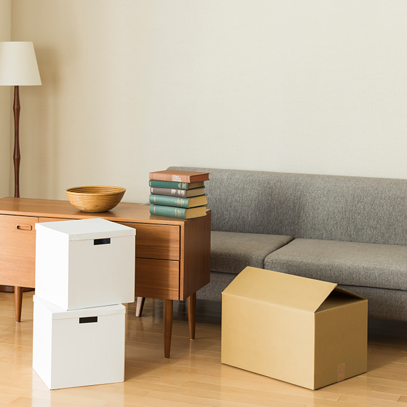 Boscaí Pacáistithe Troscán roctha