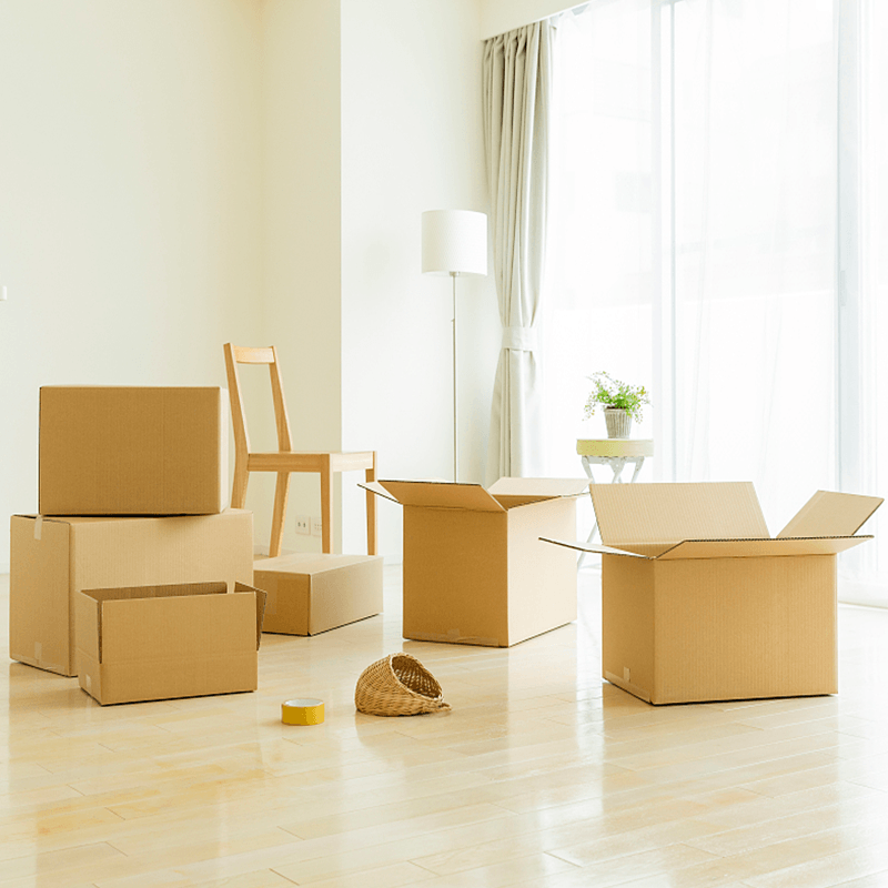 Boscaí Pacáistithe Troscán roctha